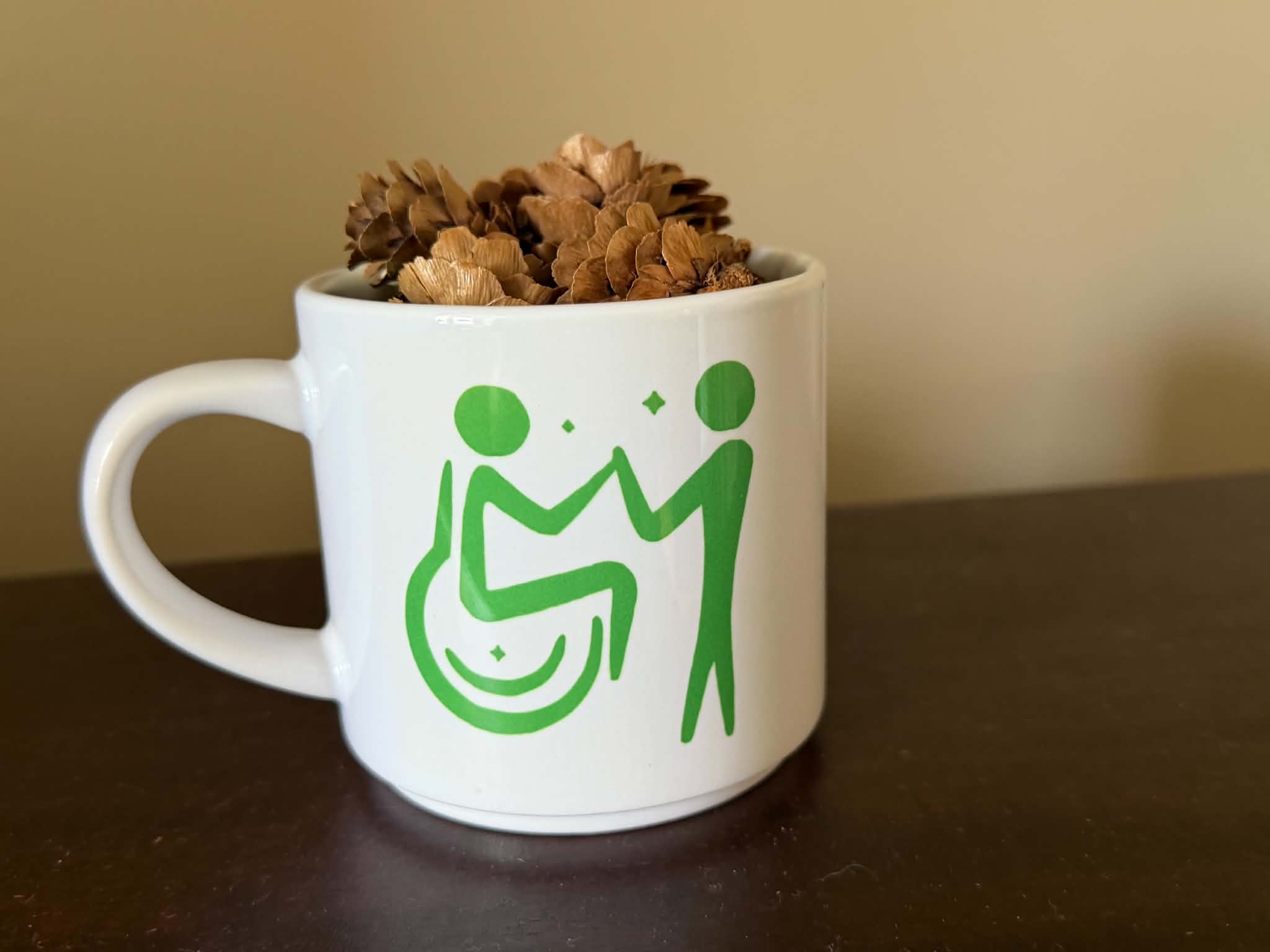 CSH logo mug with a dried floral arrangement