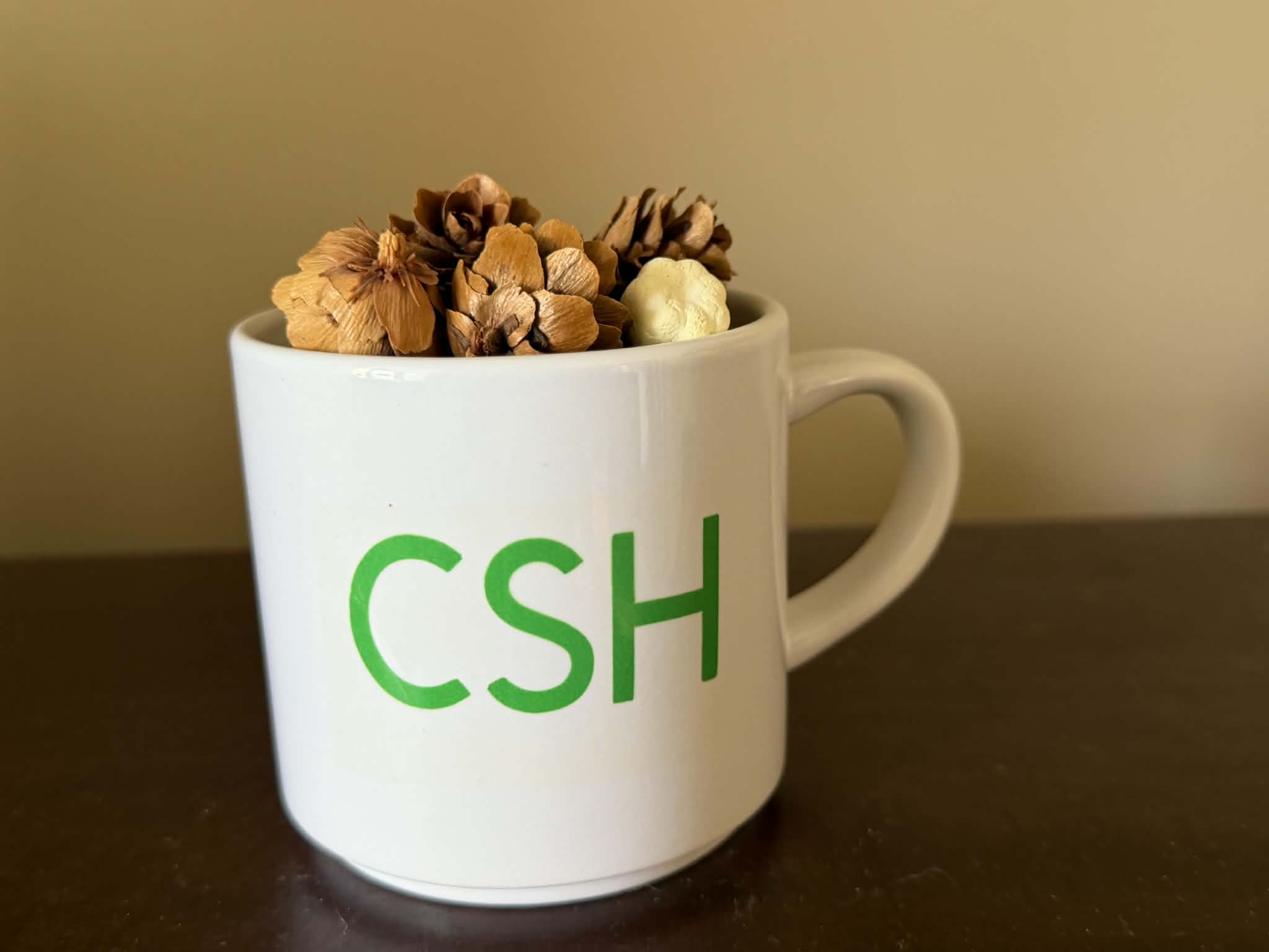 Community Safe Haven mug filled with natural dried botanicals